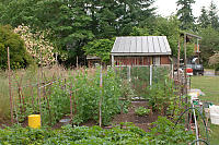 Back Vegetable Garden