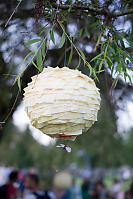 Bee Hive Lantern