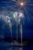 Sunset And Palm Trees In Fireworks