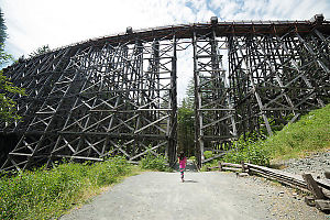 Nara Passed Under Kinsol Trestle