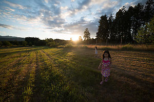 Upper Field At Sunset