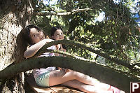 Kids In Tree Fort