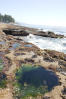 Tide Pool On Shore