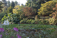 Fall Colours With GBH