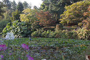 Fall Colours With GBH