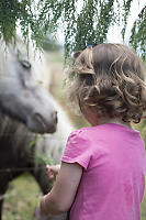 Kaylee Feeding Ponies