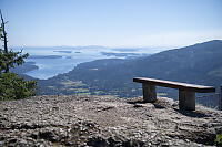 Bench With View