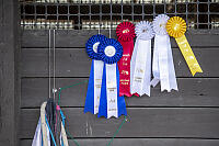 Collection Of Ribbons