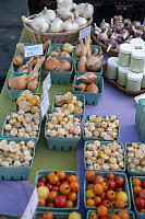 Ground Cherry And Shallot