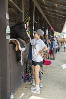 Visiting Horse In Stall