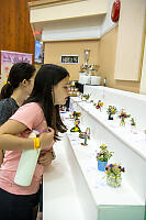 Comparing Minature Arrangments