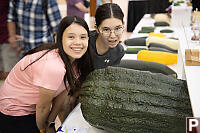 This Yeas Largest Zuchini