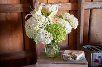 Hydrangea And Sandwiches
