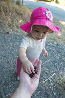 Claira Eating Blackberries Out Of My Hand