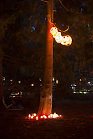 Tree Lit Up By Lanterns