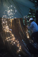 Finishing Lights On Stump