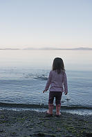 Throwing Rocks In The Ocean