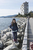 Nara Fetching Stick