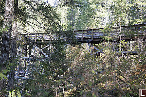 Kids On Todd Creek Trestle