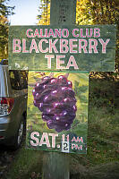 Blackberry Tea Sign