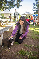 Claira Petting Small Pug