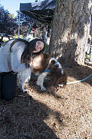 Claira With Brown Dog