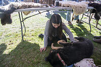 Claira With Giant Blind Dog