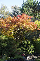 Fall Colours In Outerbridge