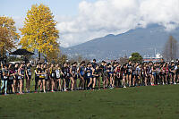 Lining Up At Start Of Race