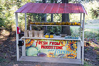 Roadside Farm Stand