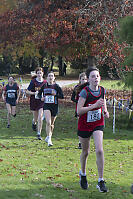 Running In Sparse Crowd