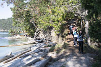 Walking Down Trail