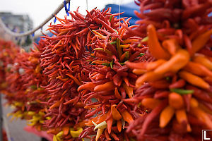 Wreaths Of Peppers