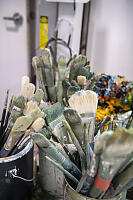 Brushes With Green Tint