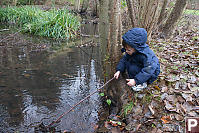 Marcus Digging Leaves With AStick