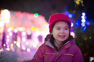 Nara With Gingerbread House