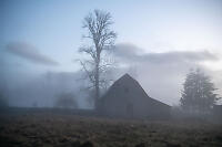 Barn In Fog