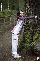 Nara Tree Hugger