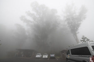 Hosmer Grove Parking In Fog