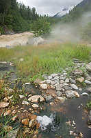 Gyser Next To Creek