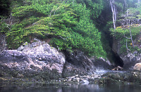 Ocean Caves on Vansittart Island