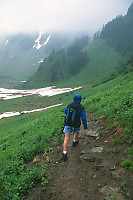 Hiker In Meadow