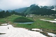 Small Lake In Meadow