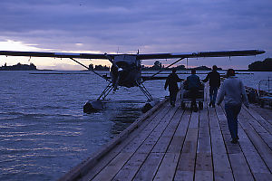 Moving Gear To Beaver