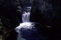 Bottom Falls at Englishman River