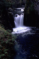 Bottom Falls at Englishman River