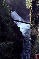 Falls into Gorge