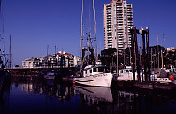 Harbour Boats