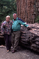 Parents in Forest