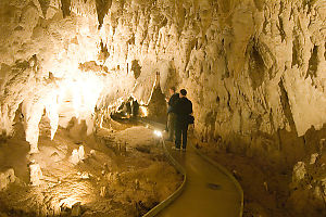 David And Mark In Cave